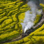 Jiayang_Steam_Train_Rides_Film_Tourism_Wave_in_Sichuan_s_Spring