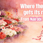 Kenya_s_Flower_Power__Nairobi_Fuels_Valentine_s_Day_Demand_Worldwide video poster