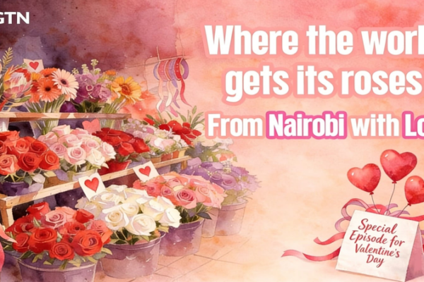 Kenya_s_Flower_Power__Nairobi_Fuels_Valentine_s_Day_Demand_Worldwide video poster