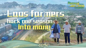 Laos_Farmers_Boost_Harvests_Through_China_Collaboration_in_2026 video poster
