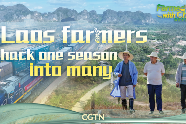Laos_Farmers_Boost_Harvests_Through_China_Collaboration_in_2026 video poster