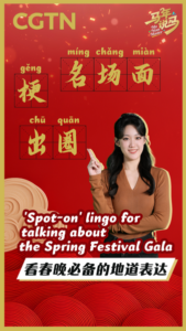 Master_the_Spring_Festival_Gala_Lingo__3_Key_Terms_to_Know_in_2026 video poster