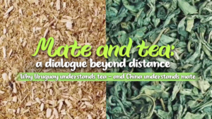 Mate_Meets_Tea__Bridging_Cultures_Between_China_and_Uruguay video poster