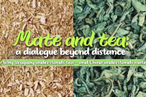 Mate_Meets_Tea__Bridging_Cultures_Between_China_and_Uruguay video poster