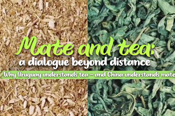 Mate_Meets_Tea__Bridging_Cultures_Between_China_and_Uruguay video poster