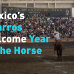 Mexico_s_Charros_Gallop_into_Year_of_the_Horse_Celebrations_poster - Khabar Asia Mexico_s_Charros_Gallop_into_Year_of_the_Horse_Celebrations video poster