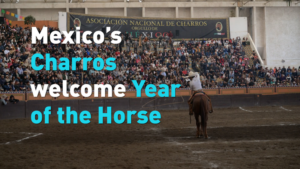 Mexico_s_Charros_Gallop_into_Year_of_the_Horse_Celebrations video poster