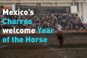 Mexico_s_Charros_Gallop_into_Year_of_the_Horse_Celebrations video poster