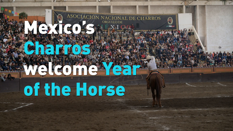 Mexico_s_Charros_Gallop_into_Year_of_the_Horse_Celebrations video poster