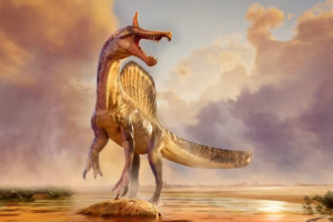 New__Hell_Heron__Dinosaur_Species_Unearthed_in_Sahara