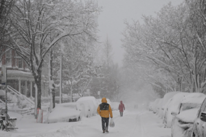 Northeast_U_S__Paralyzed_by_Historic_Blizzard__Thousands_Stranded video poster