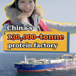 OX3CFD5IDADEJYOQAALY - Khabar Asia China’s Suhai-1: Harvesting the ‘Blue Granary’ with Floating Aquaculture Innovation video poster