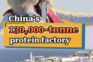 China’s Suhai-1: Harvesting the ‘Blue Granary’ with Floating Aquaculture Innovation video poster