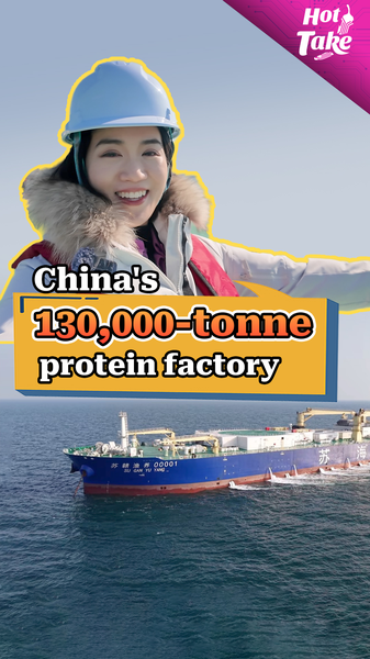 China’s Suhai-1: Harvesting the ‘Blue Granary’ with Floating Aquaculture Innovation video poster