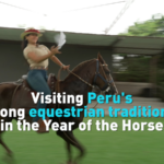 Peru_s_Paso_Horses_Gallop_into_2026_s_Year_of_the_Horse video poster