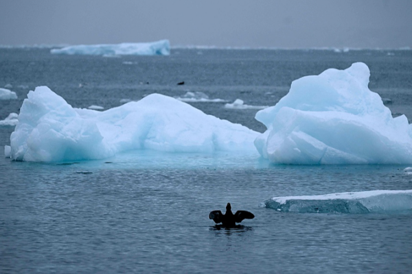 Poll__70__of_Americans_Oppose_U_S__Bid_for_Greenland_Control