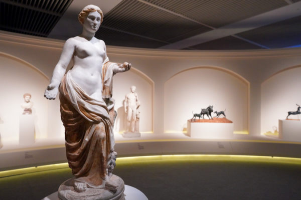 Pompeii___Palladio_Exhibitions_Open_in_Beijing video poster