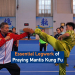 Praying_Mantis_Kung_Fu__Mastering_the_Art_of_Agile_Footwork_in_2026 video poster