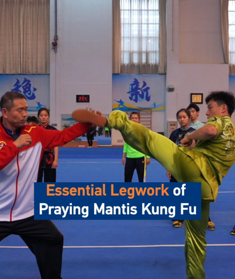 Praying_Mantis_Kung_Fu__Mastering_the_Art_of_Agile_Footwork_in_2026 video poster