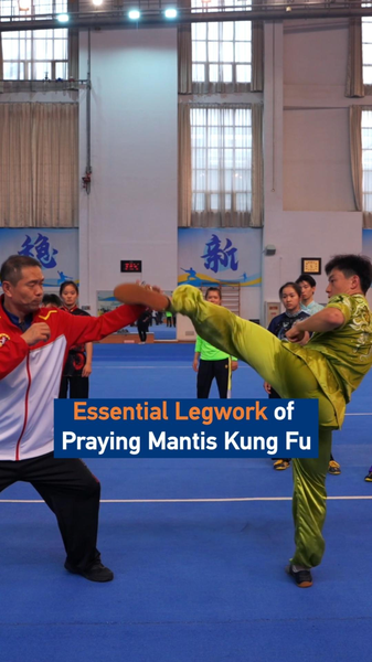 Praying_Mantis_Kung_Fu__Mastering_the_Art_of_Agile_Footwork_in_2026 video poster