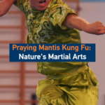 Praying_Mantis_Kung_Fu__Where_Nature_Meets_Martial_Mastery video poster