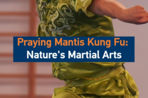 Praying_Mantis_Kung_Fu__Where_Nature_Meets_Martial_Mastery video poster