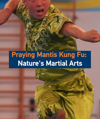 Praying_Mantis_Kung_Fu__Where_Nature_Meets_Martial_Mastery video poster