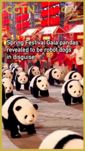 Robot_Dogs_Disguised_as_Pandas_Dazzle_at_2026_Spring_Festival_Gala video poster