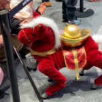 Robotic_Horse_Sparks_Festive_Joy_in_Beijing_Mall_Ahead_of_Lunar_New_Year_poster - Khabar Asia Robotic_Horse_Sparks_Festive_Joy_in_Beijing_Mall_Ahead_of_Lunar_New_Year video poster