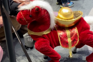 Robotic_Horse_Sparks_Festive_Joy_in_Beijing_Mall_Ahead_of_Lunar_New_Year video poster
