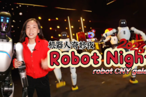 Robots_Steal_the_Show_at_Lunar_New_Year_Gala_in_2026 video poster