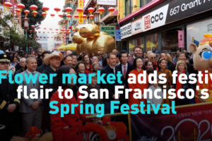 San_Francisco_s_Lunar_New_Year_Flower_Market_Blooms_with_Festive_Spirit video poster
