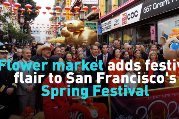 San_Francisco_s_Lunar_New_Year_Flower_Market_Blooms_with_Festive_Spirit video poster