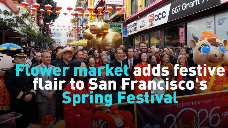 San_Francisco_s_Lunar_New_Year_Flower_Market_Blooms_with_Festive_Spirit_poster - Khabar Asia San_Francisco_s_Lunar_New_Year_Flower_Market_Blooms_with_Festive_Spirit video poster