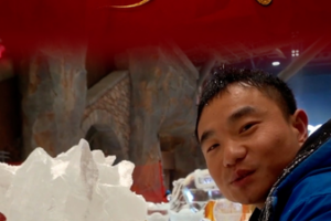 Shanghai_s_Ice_Sculpture_Masterpiece__Crafting_Crystal_Horses_for_Lunar_New_Year video poster