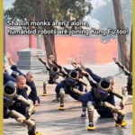 Shaolin_Monks_Train_with_Humanoid_Robots_in_Futuristic_Kung_Fu_Initiative video poster