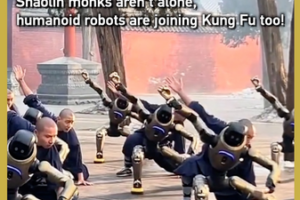 Shaolin_Monks_Train_with_Humanoid_Robots_in_Futuristic_Kung_Fu_Initiative video poster