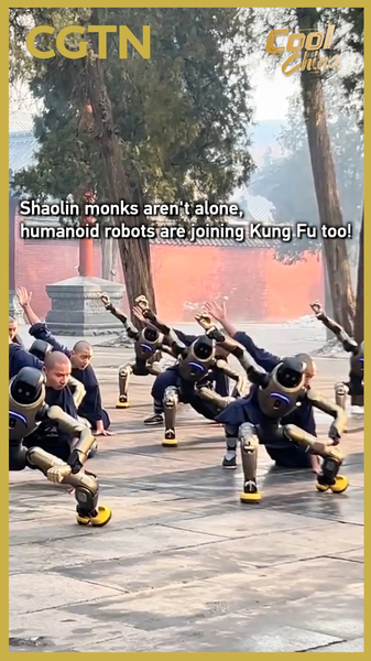 Shaolin_Monks_Train_with_Humanoid_Robots_in_Futuristic_Kung_Fu_Initiative video poster