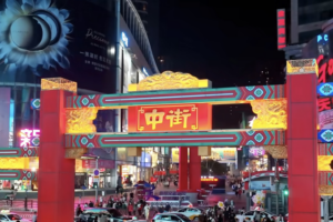 Shenyang_s_Revitalization__A_Microcosm_of_China_s_High_Quality_Development