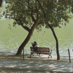 Shenzhen_s_Green_Revolution__Where_Tech_Meets_Tranquility