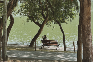 Shenzhen_s_Green_Revolution__Where_Tech_Meets_Tranquility