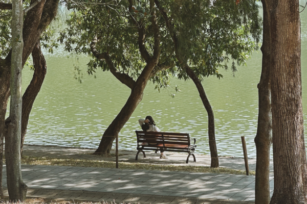 Shenzhen_s_Green_Revolution__Where_Tech_Meets_Tranquility