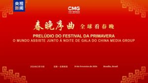 Spring_Festival_Gala_Bridges_Cultures_in_Brasilia