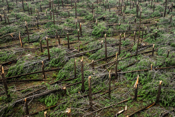 Successive_Storms_Claim_11_Lives_in_Portugal__Highlight_Climate_Risks