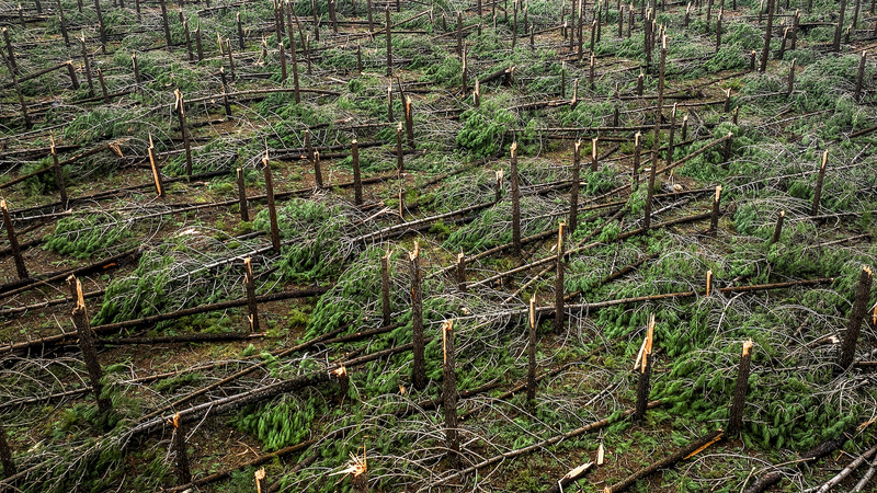 Successive_Storms_Claim_11_Lives_in_Portugal__Highlight_Climate_Risks