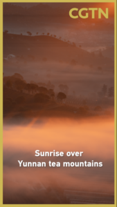 Sunrise_Over_Yunnan_Tea_Mountains_Marks_Post_Lunar_New_Year_Serenity video poster