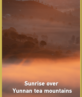 Sunrise_Over_Yunnan_Tea_Mountains_Marks_Post_Lunar_New_Year_Serenity video poster