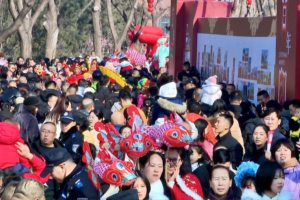 Taiyuan_Temple_Fair_Celebrates_Spring_Festival_with_Cultural_Extravaganza video poster