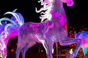 Tangshan_s_Spring_Festival_Lantern_Fair_Blends_Tradition_with_AI_Innovation video poster