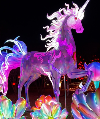 Tangshan_s_Spring_Festival_Lantern_Fair_Blends_Tradition_with_AI_Innovation video poster